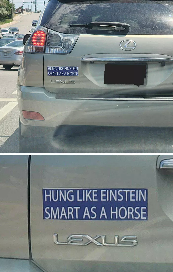 Side splitting bumper stickers that will brighten your day - #40 
