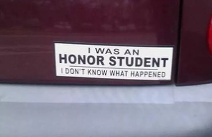 Side splitting bumper stickers that will brighten your day - #42 