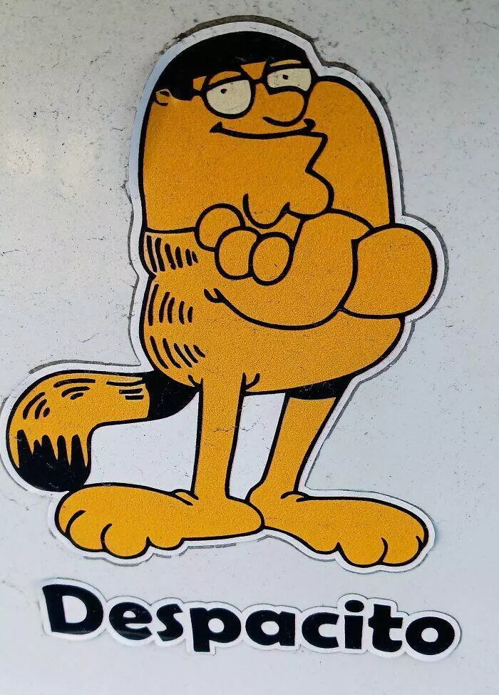 Side splitting bumper stickers that will brighten your day - #47 