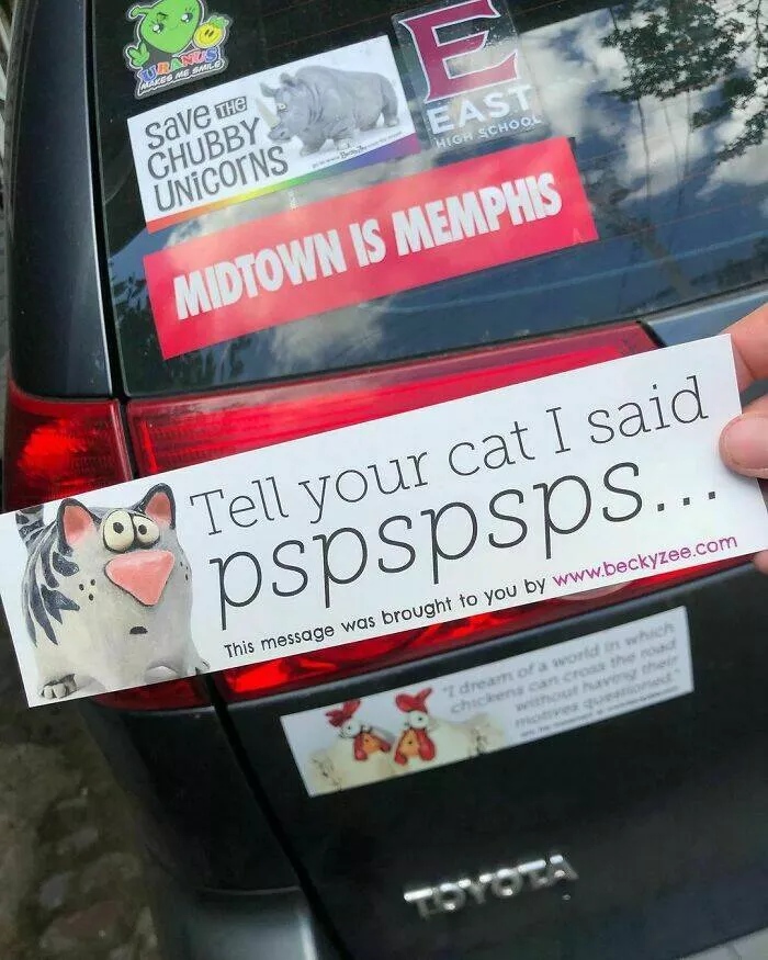 Side splitting bumper stickers that will brighten your day - #48 
