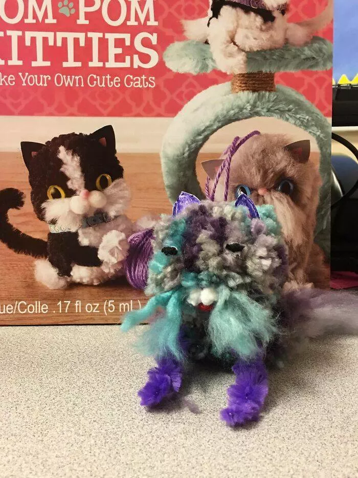 Hilarious diy fails that got rightfully roasted online