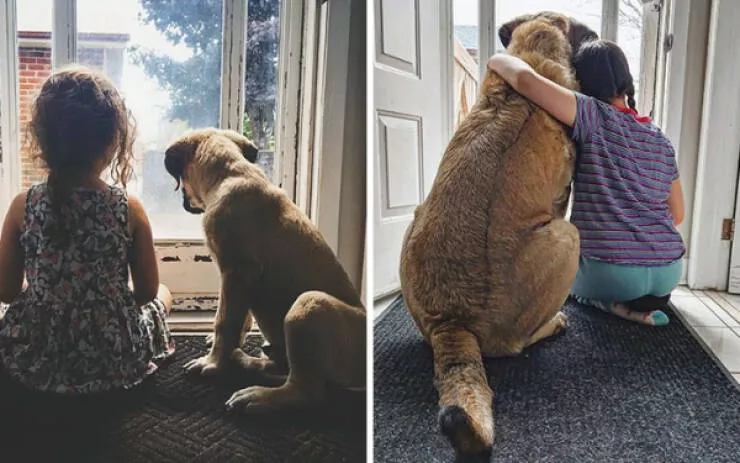 Photos attendrissantes danimaux grandissant avec leurs humains - #1 Photos prises à 6 ans d'intervalle—toujours un duo adorable
