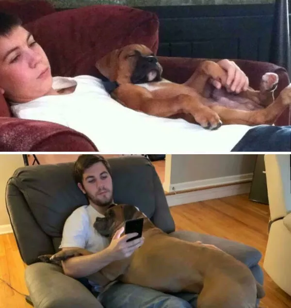 Adorable photos of pets growing up alongside their humans - #10 Even after 10 years, some things never change