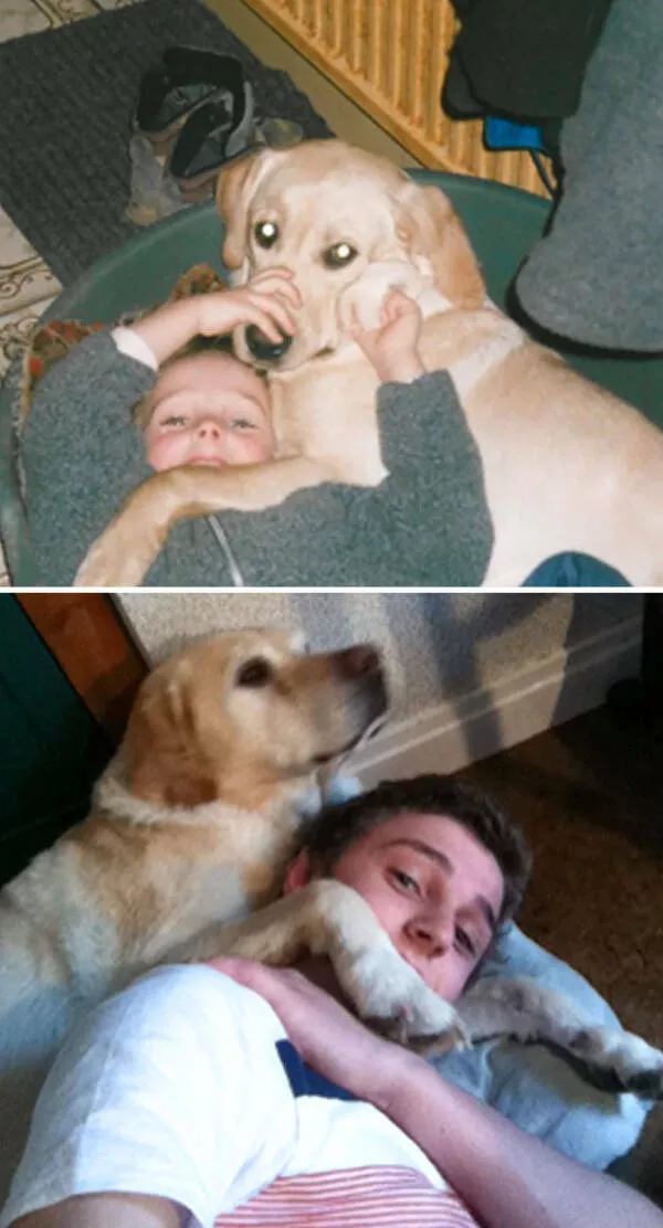 Photos attendrissantes danimaux grandissant avec leurs humains - #13 13 ans plus tard, mon chien fait encore ça quand je me couche par terre