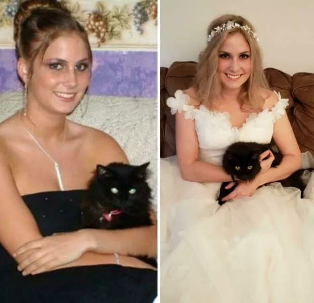 Photos attendrissantes danimaux grandissant avec leurs humains - #15 Bal de promo et jour de mariage, 16 ans d'écart ! Beaker a été avec moi à travers les étapes importantes, les peines, les célébrations et les défis. Elle a maintenant 19 ans et reste ma fille préférée