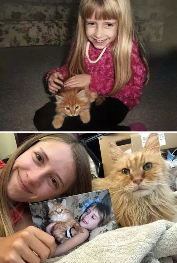 Photos attendrissantes danimaux grandissant avec leurs humains - #18 Aujourd'hui, j'ai dit adieu à mon chat de 15 ans qui a grandi avec moi. Je t'aime, Pumpkin
