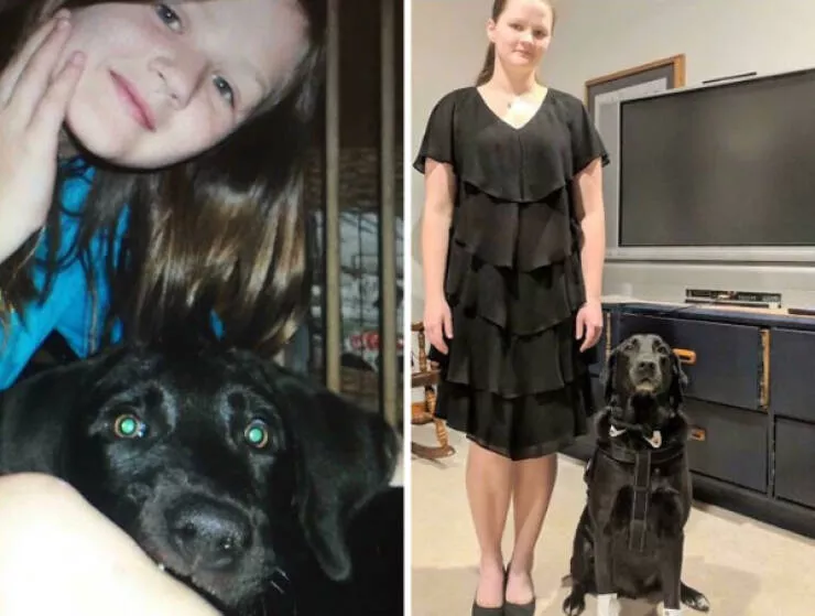 Photos attendrissantes danimaux grandissant avec leurs humains - #20 De sauvetage fou à 4 mois à chien d'alerte médicale/service de réponse de 8 ans. Mon meilleur ami et ma bouée de sauvetage