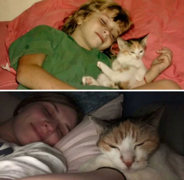 Photos attendrissantes danimaux grandissant avec leurs humains - #21 Mon chat et moi, il y a 14 ans vs. aujourd'hui