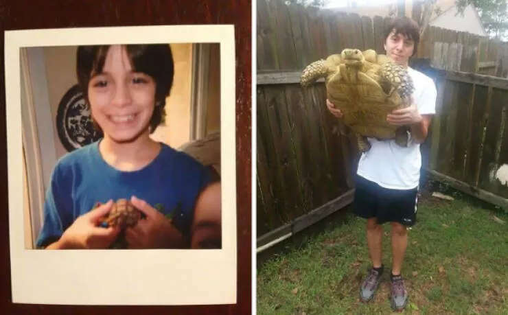 Adorable photos of pets growing up alongside their humans