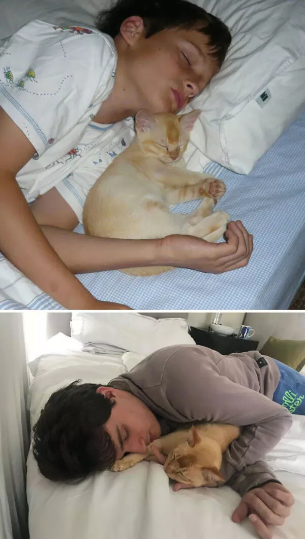Adorable photos of pets growing up alongside their humans - #27 First Night to 12 Years Later: From our first night together to 12 years of nightly snuggles