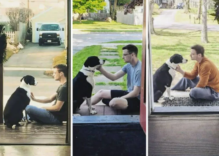 Adorable photos of pets growing up alongside their humans - #28 Lexi Turning 10: Through college, three cities, two apartments, and our first real house, Lexi and I have shared 17 years together