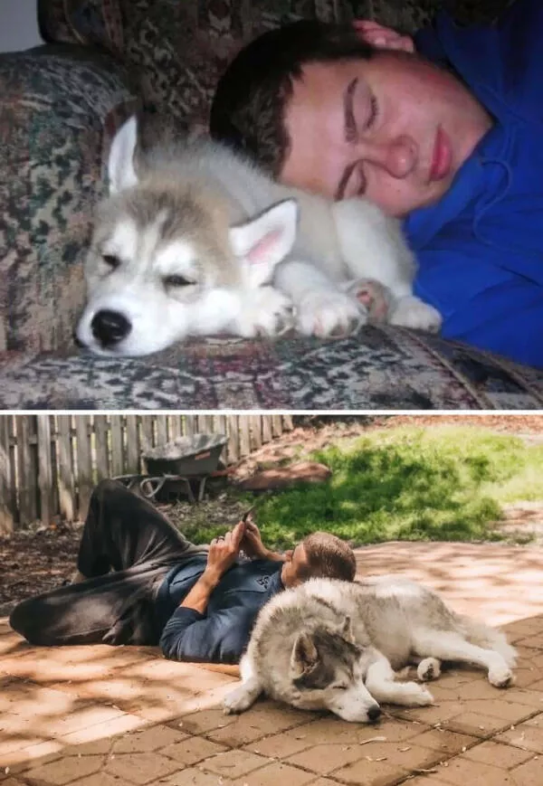 Adorable photos of pets growing up alongside their humans - #3 He's been my comfort from beginning to end