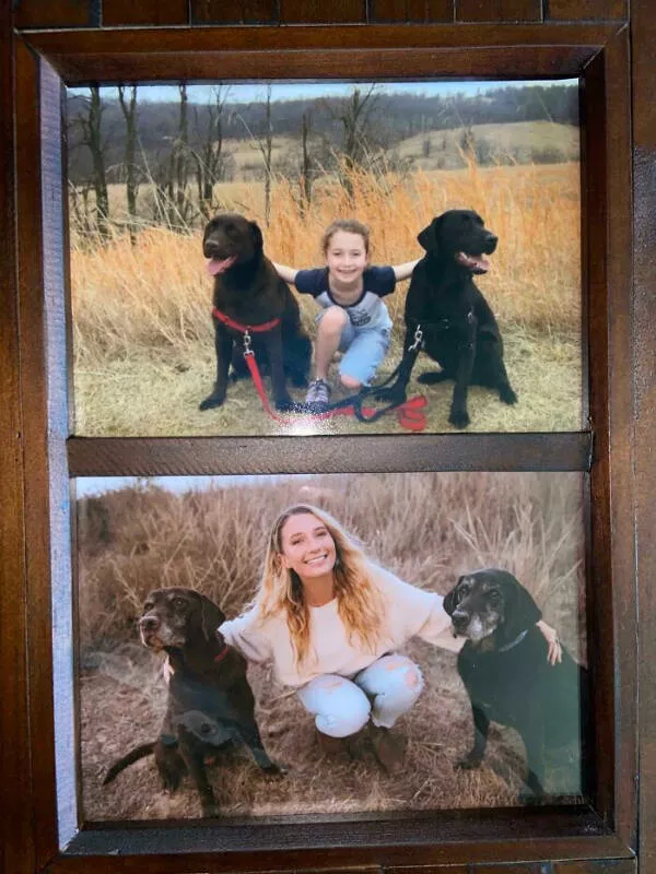 Photos attendrissantes danimaux grandissant avec leurs humains - #5 J'ai fait des photos avec mes chiens de 13 ans pour recréer des anciennes pour Noël