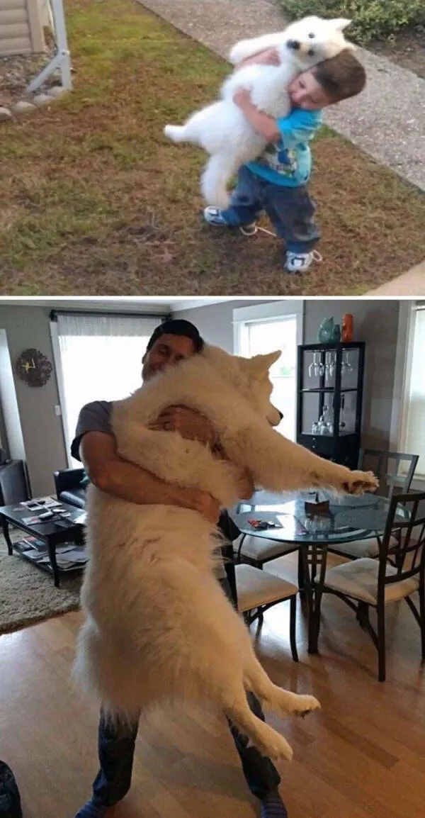 Adorable photos of pets growing up alongside their humans - #8 The ratio of dog to boy stayed the same—so cute