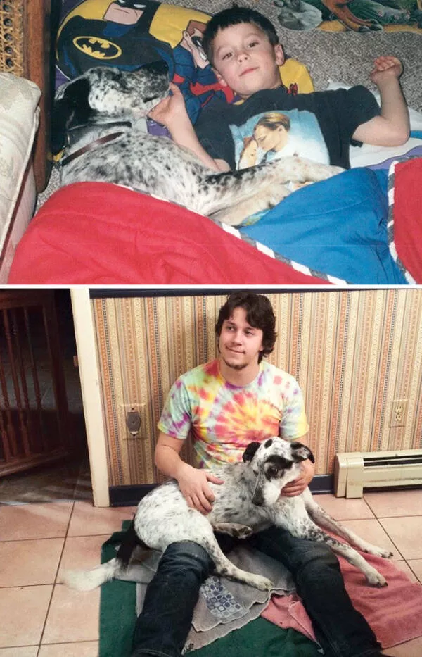 Photos attendrissantes danimaux grandissant avec leurs humains - #9 Mon chien et moi, 15 ans plus tard. Le jour de notre rencontre et le jour de nos adieux