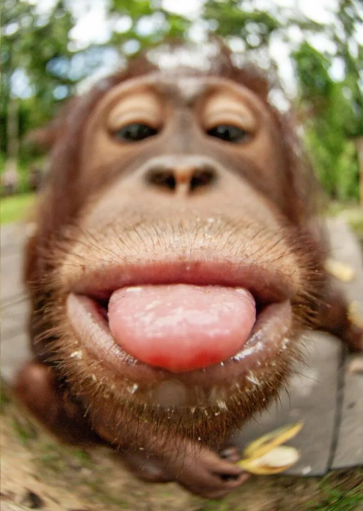 Picdump 928 - #24 