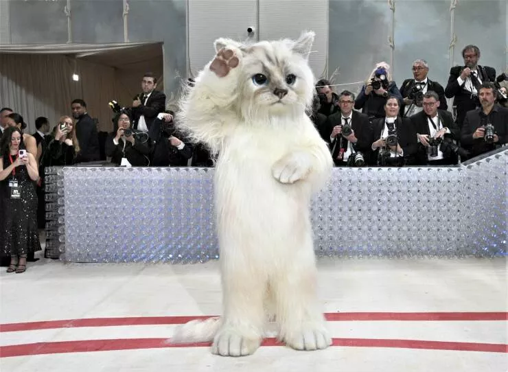 Picdump 928 - #29 