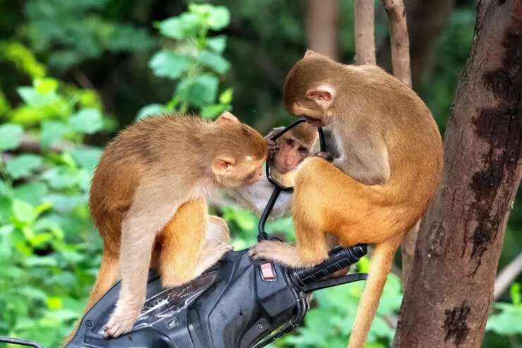Picdump 928 - #59 