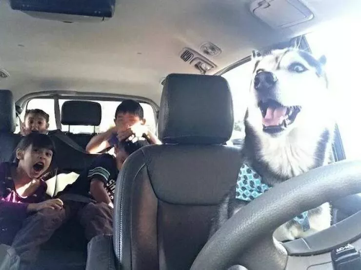 Picdump 929 - #44 