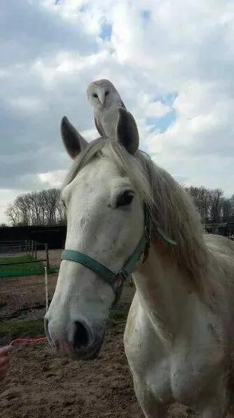 Picdump 929 - #9 