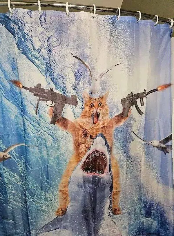 Photos stupefiantes qui vous feront dire wtf  - #16 
