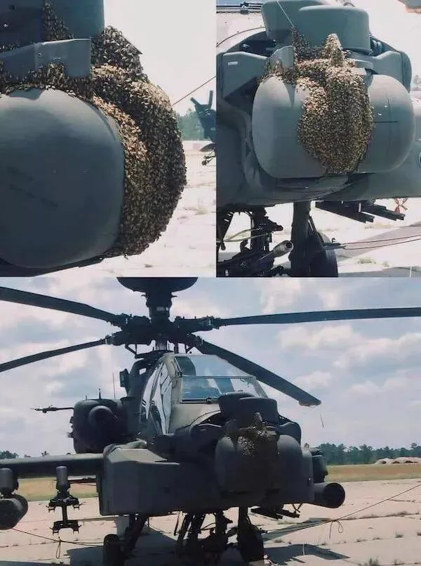 Mind boggling photos that will leave you saying wtf - #23 