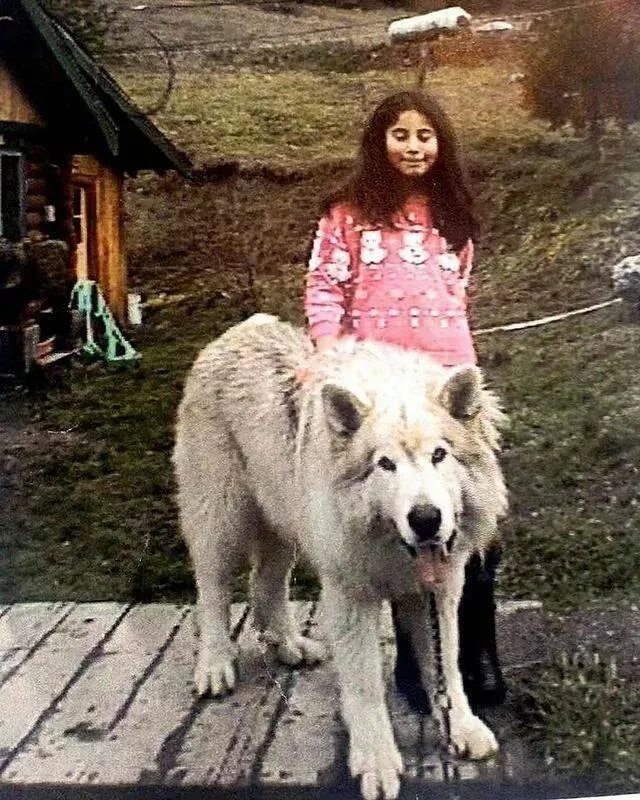 Picdump 930 - #25 
