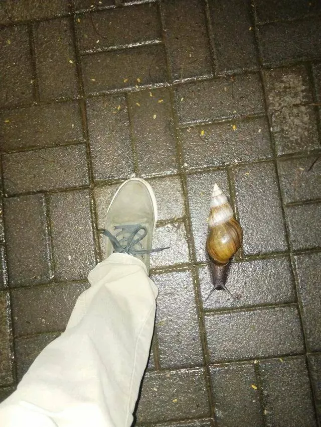 Picdump 930 - #31 