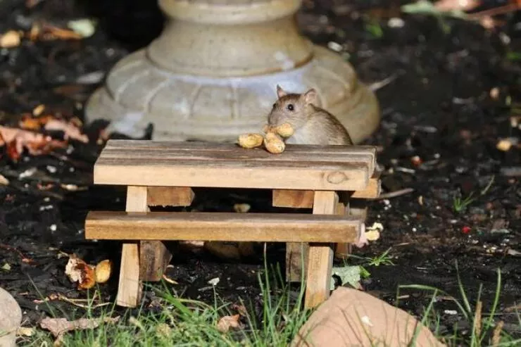 Picdump 930 - #4 