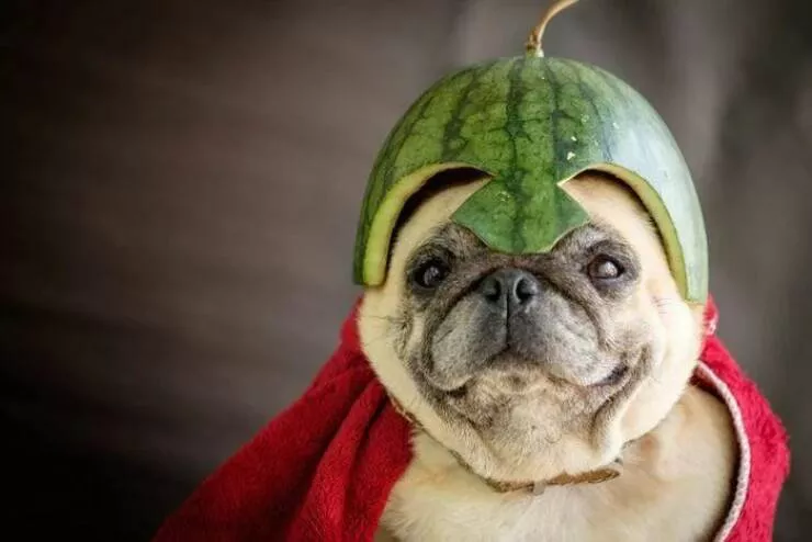 Picdump 930 - #60 
