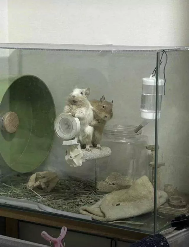 Picdump 930 - #8 