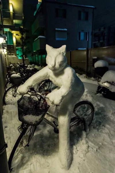 The funniest and most unusual bicycles - #27 