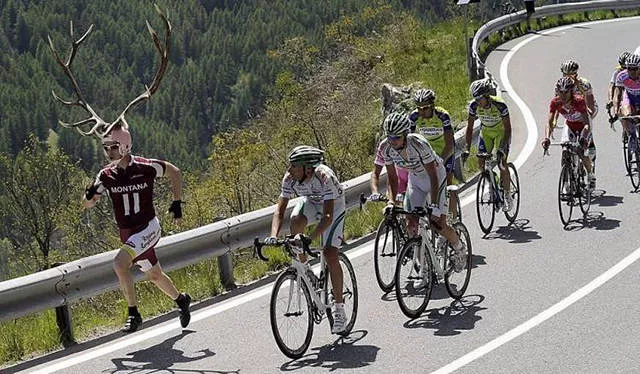 The funniest and most unusual bicycles - #37 