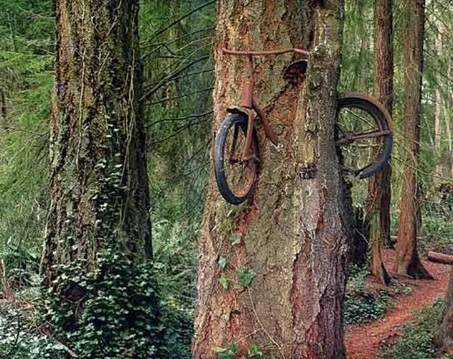 The funniest and most unusual bicycles - #43 