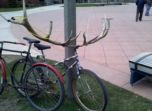 The funniest and most unusual bicycles - #54 