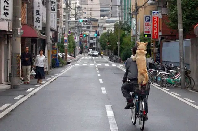 The funniest and most unusual bicycles - #59 