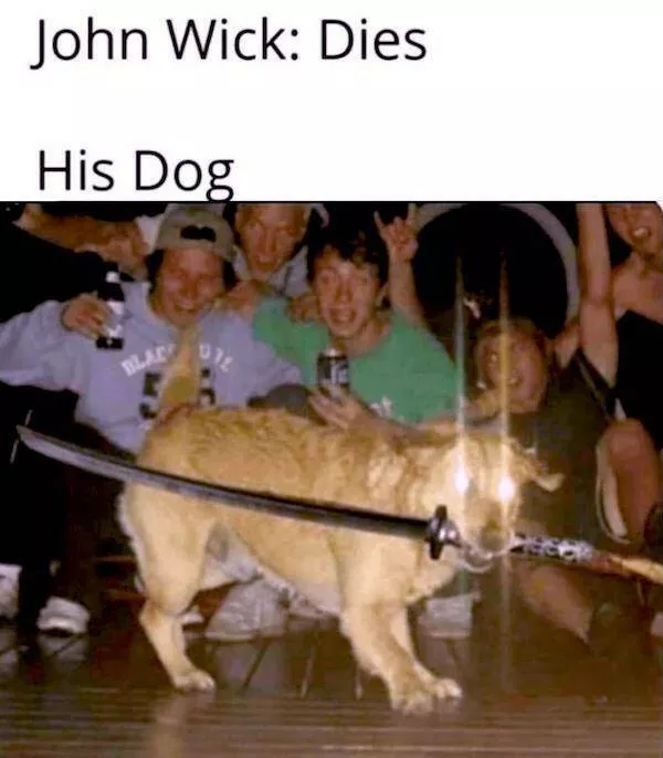Relatable movie memes that every film buff will love - #26 