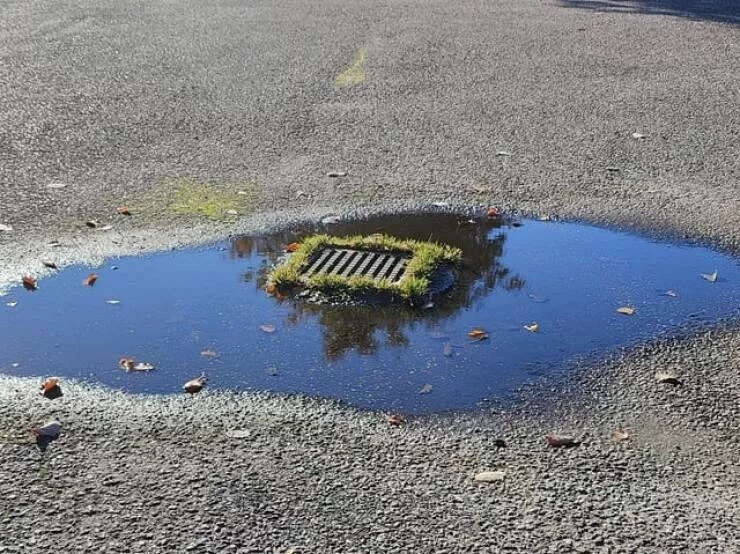 Picdump 932 - #21 