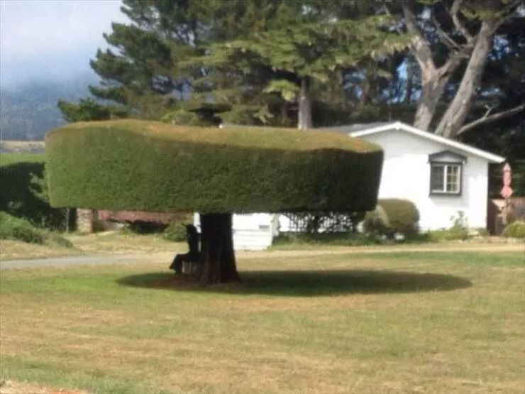 Picdump 932 - #42 