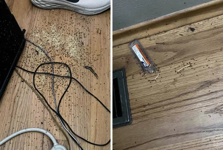 When bad days hit hard moments we all know too well - #17 Returned From Vacation To Find Ants Built A Colony Inside My Laptop When bad days hit hard moments we all know too well - #17 Returned From Vacation To Find Ants Built A Colony Inside My Laptop