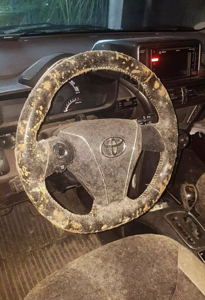 Quand les mauvaises journees frappe fort moments que nous connaissons tous - #27 Ma Mère A Laissé Sa Voiture Deux Mois, Elle Est Revenue Recouverte De Moisissures