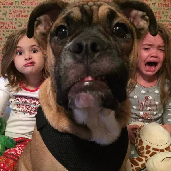 Picdump 118