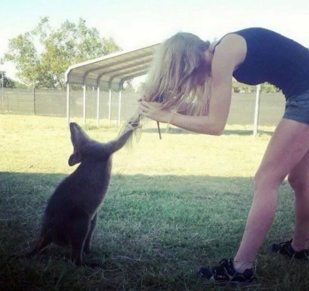 Picdump 118 - #16 