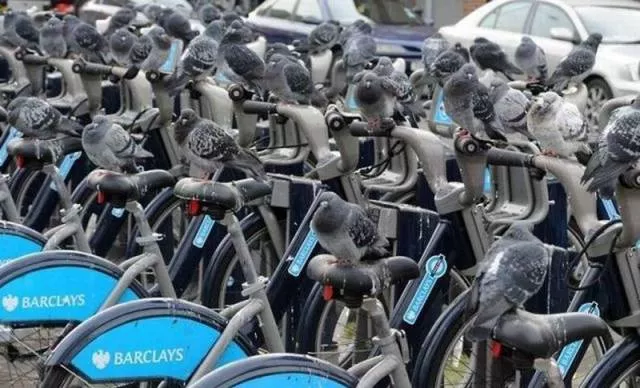 Picdump 118 - #18 