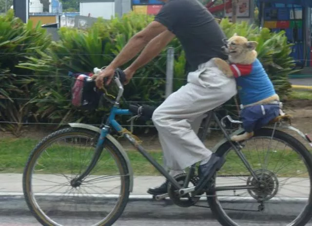 Picdump 118 - #20 