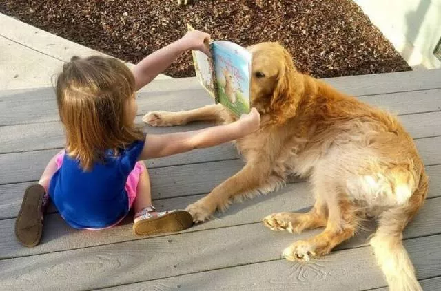 Picdump 118 - #27 