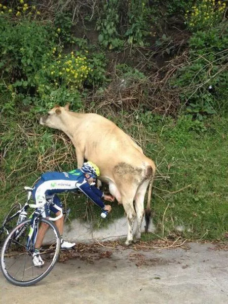 Picdump 118 - #31 