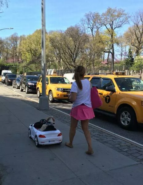 Picdump 118 - #41 