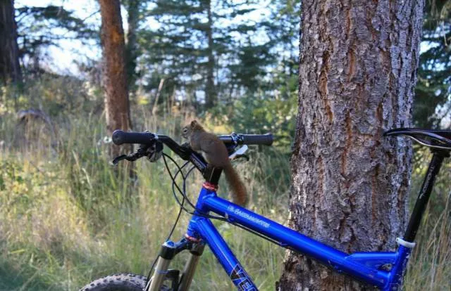 Picdump 118 - #59 