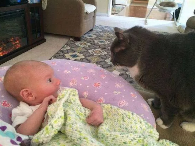 Picdump 118 - #6 